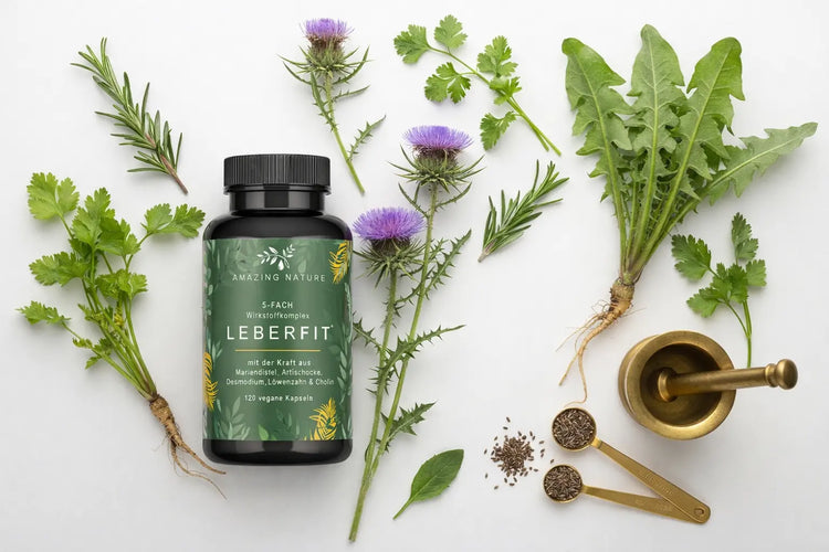 Supplements für Leberfunktion und Entgiftung von AMAZING NATURE