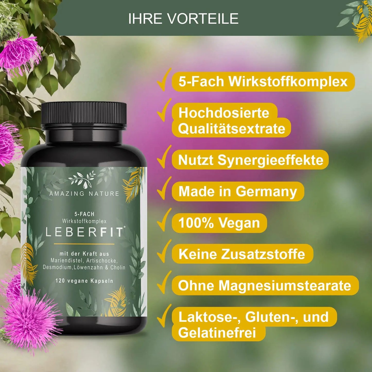 LeberFit Mariendistel Kapseln Hochdosiert 5-Fach Komplex 1 x 120 vegane Kapseln Laborgeprüft aus 80% Silymarin Mariendistel Artischocke Löwenzahn Desmodium und Cholin. Amazing Prime GmbH