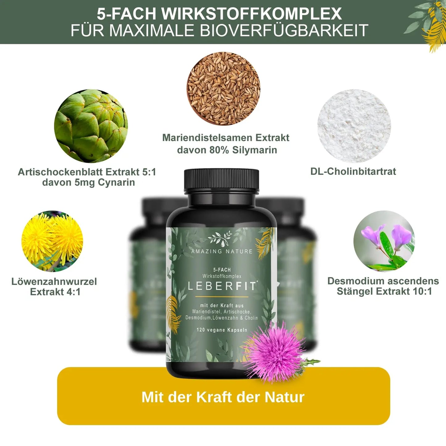 LeberFit Mariendistel Kapseln Hochdosiert 5-Fach Komplex 1 x 120 vegane Kapseln Laborgeprüft aus 80% Silymarin Mariendistel Artischocke Löwenzahn Desmodium und Cholin. Amazing Prime GmbH