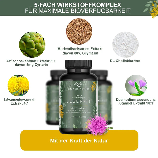 LeberFit Mariendistel Kapseln Hochdosiert 5-Fach Komplex 1 x 120 vegane Kapseln Laborgeprüft aus 80% Silymarin Mariendistel Artischocke Löwenzahn Desmodium und Cholin. Amazing Prime GmbH