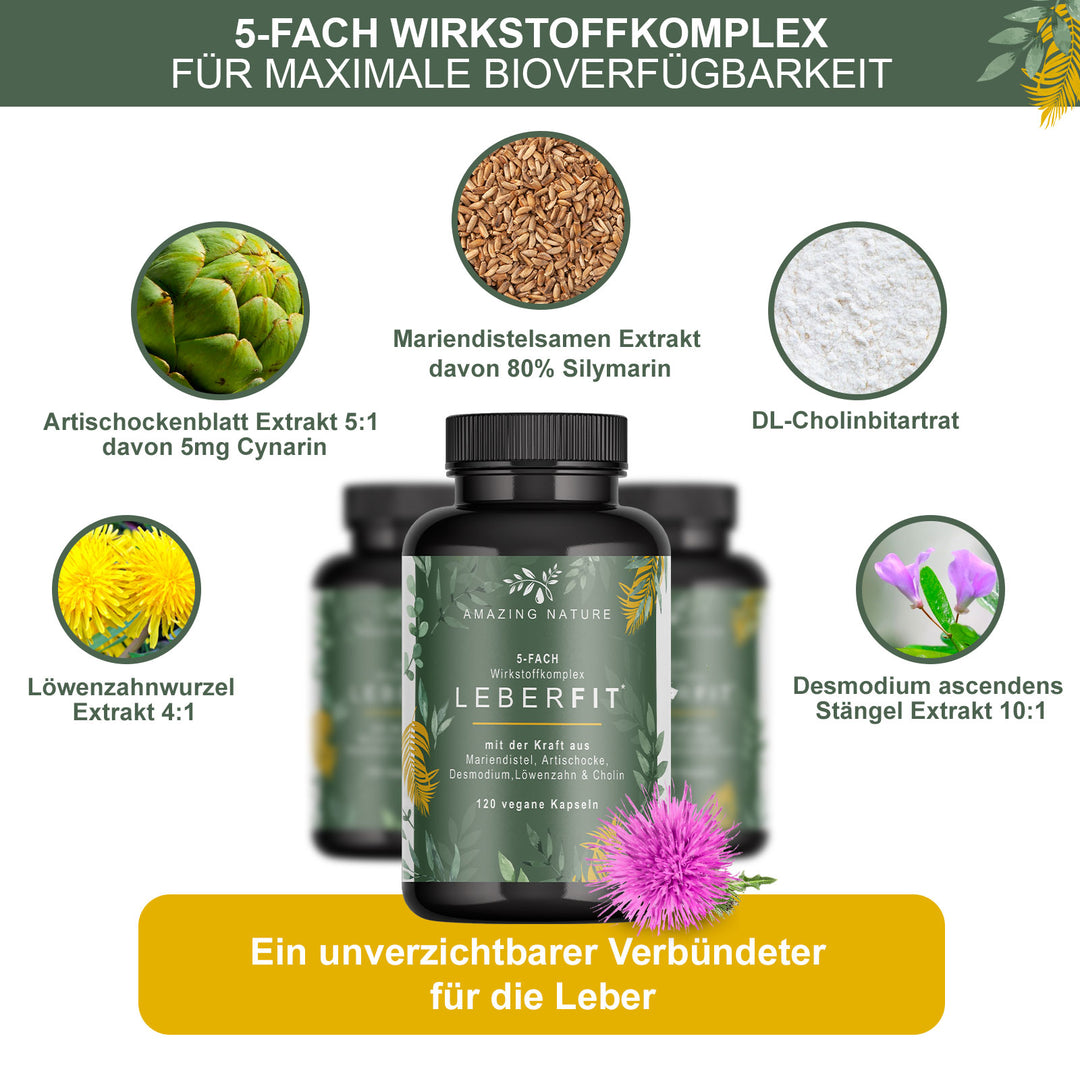 LeberFit Mariendistel 5-Fach Komplex 1 x 120 vegane Kapseln